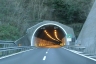 Rocca Carpanea Tunnel