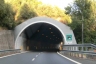 Suseneo Tunnel