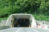 Hieflertunnel