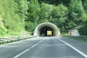 Ofenau Tunnel