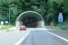 Tunnel du Zetzenberg
