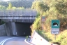 Tunnel de Svincolo Massarosa