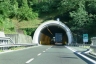 Massarosa Tunnel