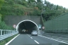 Ciapon Tunnel