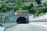 Tunnel de Veilino