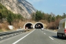 Tunnel Mötz-Steinbruckmure