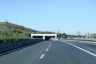 Tunnel Orciano