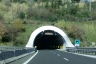 Pipistrello Tunnel