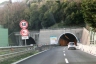 Rapallo Tunnel