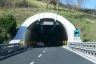 Tunnel Rimazzano