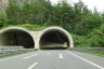 Mötz-Kirchenriese Tunnel