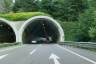 Tunnel de Mötz-Schlenzmure