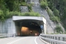Tunnel de Traversa