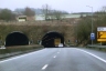 Markusbierg Tunnel