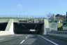 Tunnel Covignano