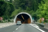 Tunnel Immacolata