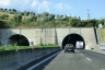 Monterenzo Tunnel
