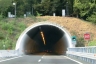 Pianacce Tunnel
