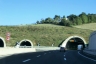 Sappanico Tunnel