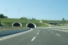 Tunnel Scacciano