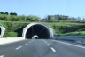 Neuer Tunnel Scacciano
