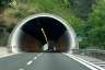 Tunnel Vaccari
