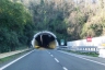 Fresonara Tunnel