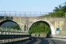 Tunnel de Pietramogolana