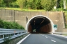 Tunnel de Polina