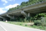 Rio Zampogna Viaduct