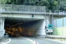 Tunnel Muggiano