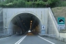 Valdilocchi Tunnel