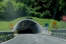 Valico (Cisa)-Tunnel