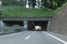 Tunnel de Vico