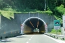 Vizzana Tunnel