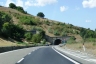 Vallesaccarda Tunnel