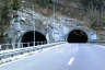 Taubenloch Tunnel I