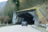 Taubenloch Tunnel VIII