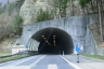 Taubenloch Tunnel IX