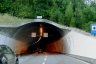 Bareggtunnel