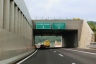 Tunnel Bollone I