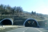 Tunnel Grizzana