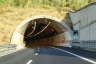 Costa Incoronata Tunnel