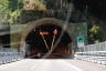Feliciusu Tunnel