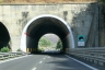 Tunnel de Fiego I