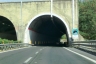 Fiego II Tunnel
