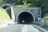 Garcito Tunnel