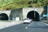 Moio Tunnel