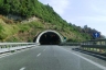 Tunnel Monaco