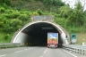 Montevetrano I Tunnel